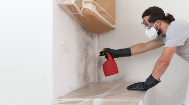 Professional Mold Removal technician working in Danville, IL