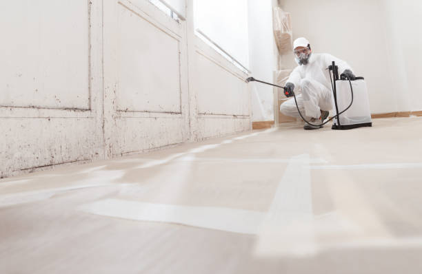 24/7 Emergency Mold Removal experts in Danville, IL